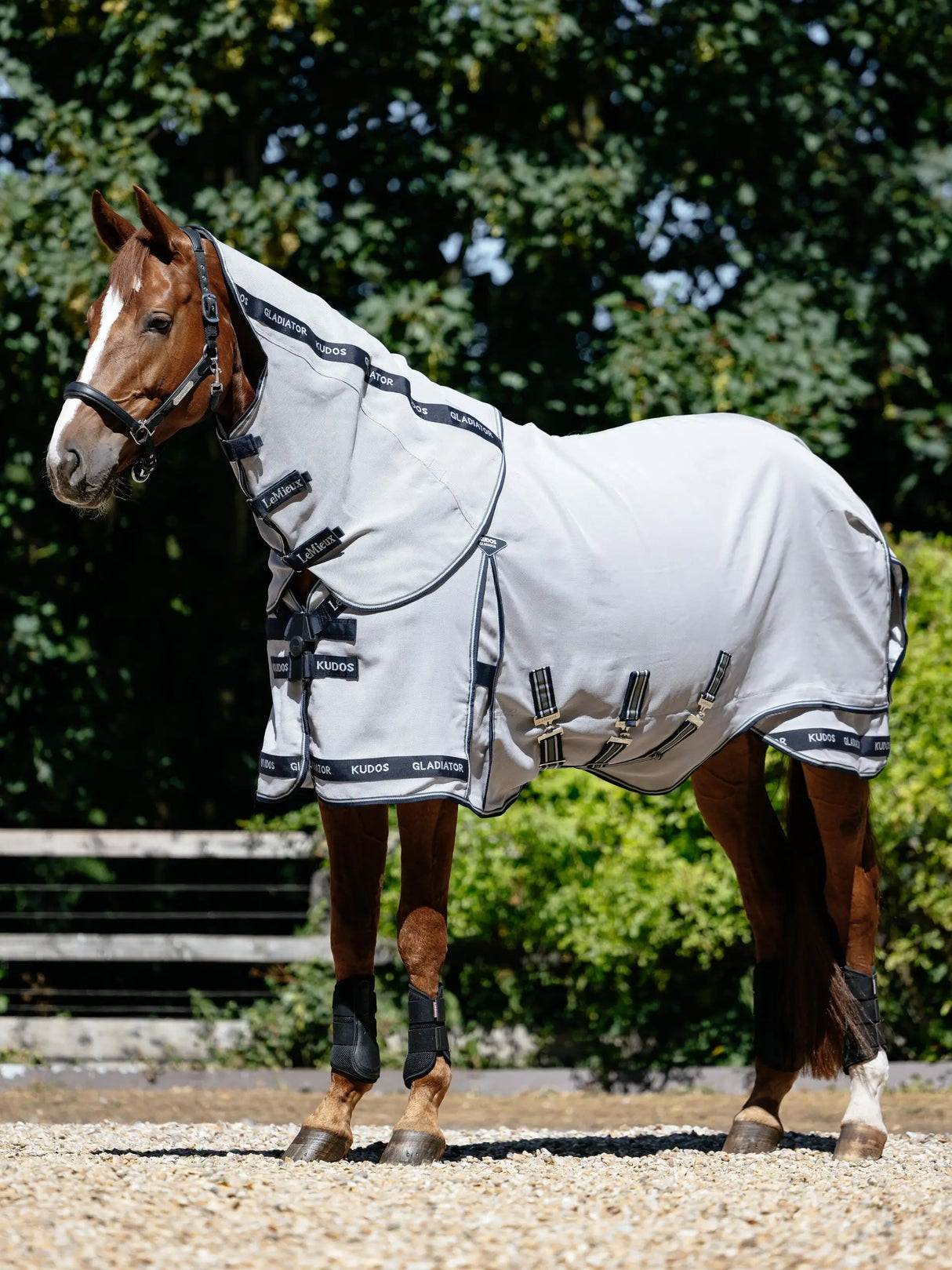 Le Mieux Kudos Gladiator Fly Rug Grey
