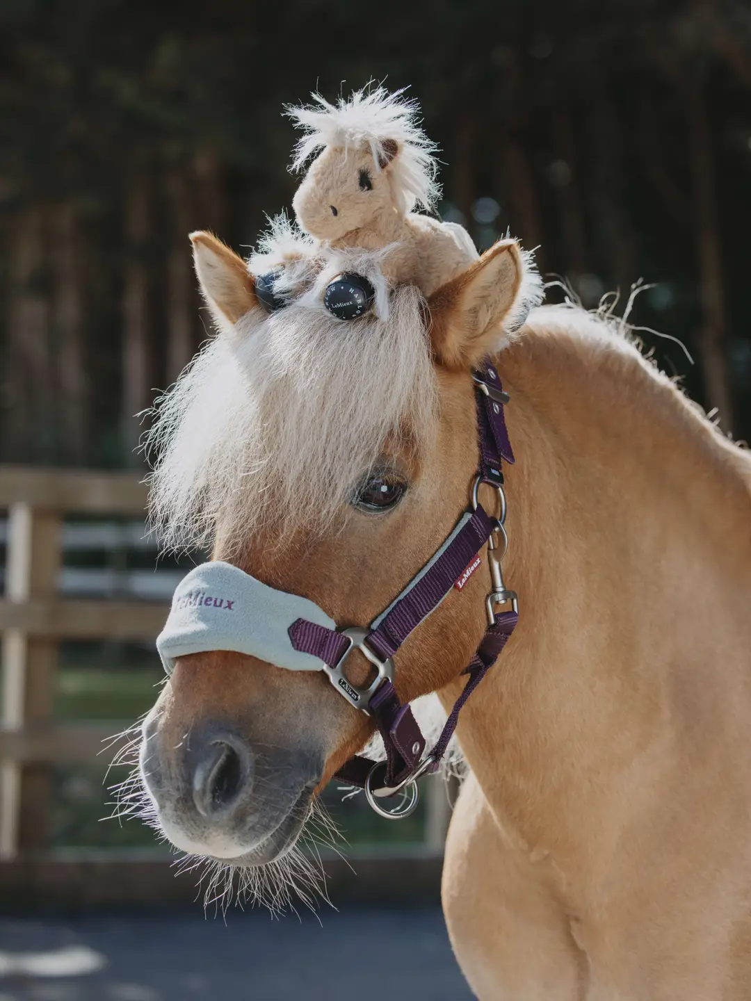 Le Mieux Harlow Tiny Beanie Pony