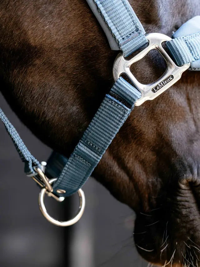 Le Mieux Breakaway Vogue Headcollar Ice Blue