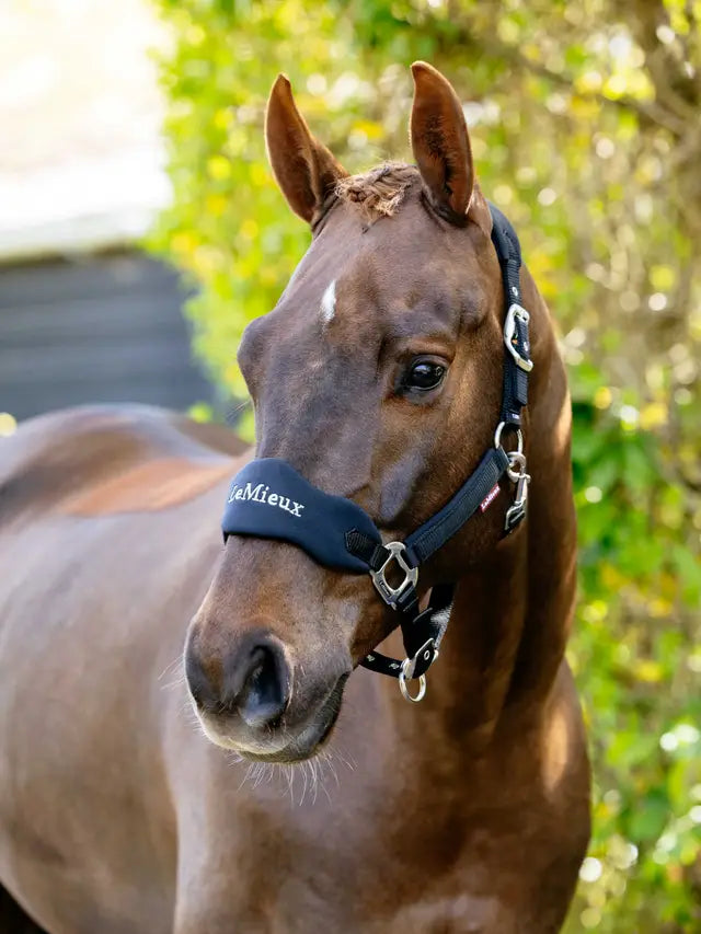 Le Mieux Breakaway Vogue Headcollar Black