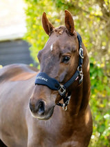 Le Mieux Breakaway Vogue Headcollar Black