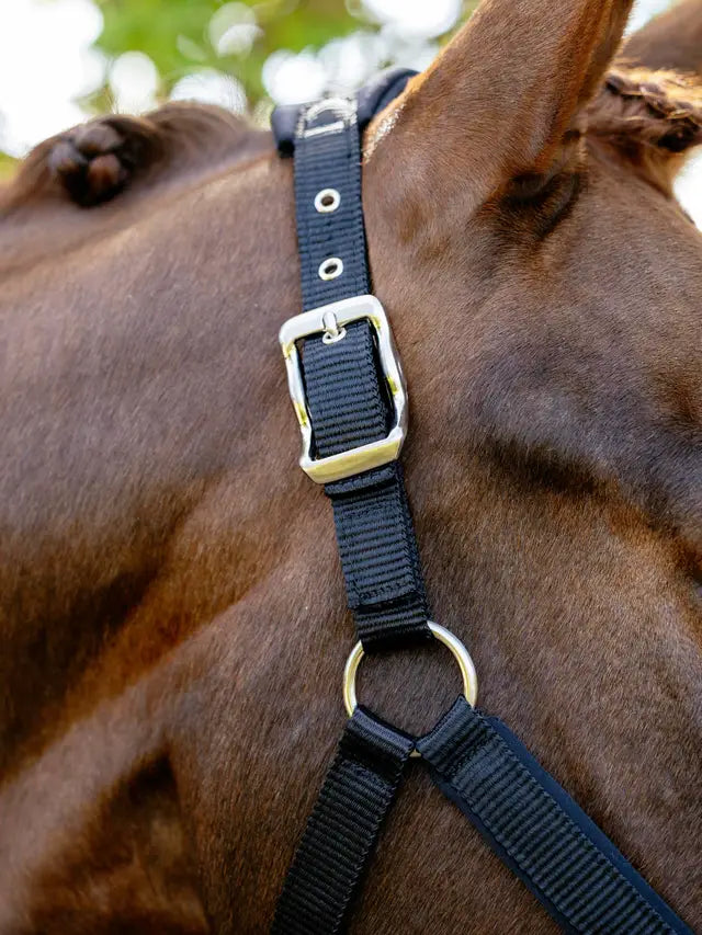 Le Mieux Breakaway Vogue Headcollar Black