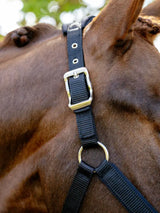 Le Mieux Breakaway Vogue Headcollar Black