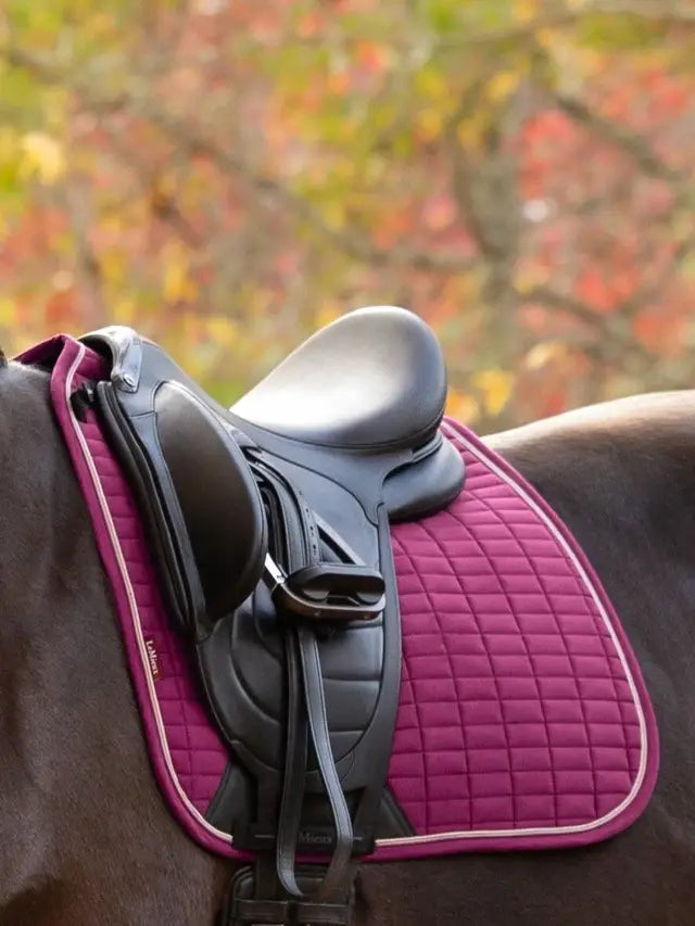 Le Mieux Suede Dressage Square Blackberry L