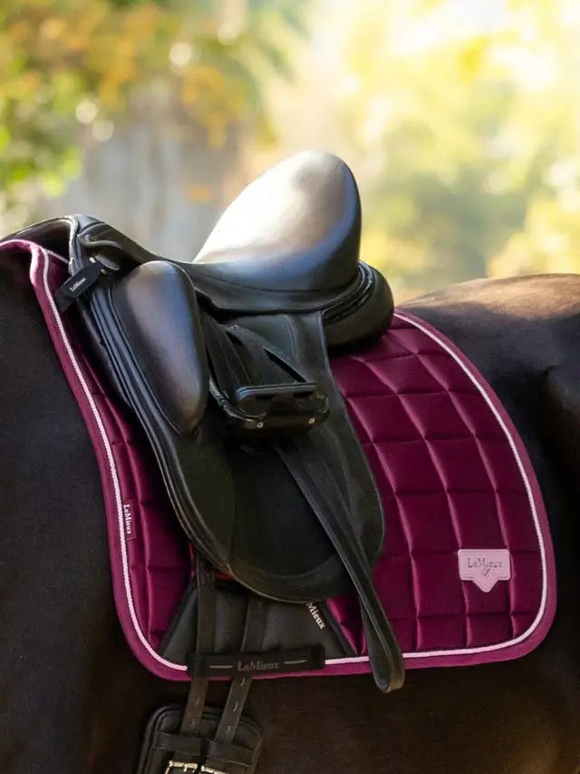 Le Mieux Loire Classic Dressage Square Blackberry L
