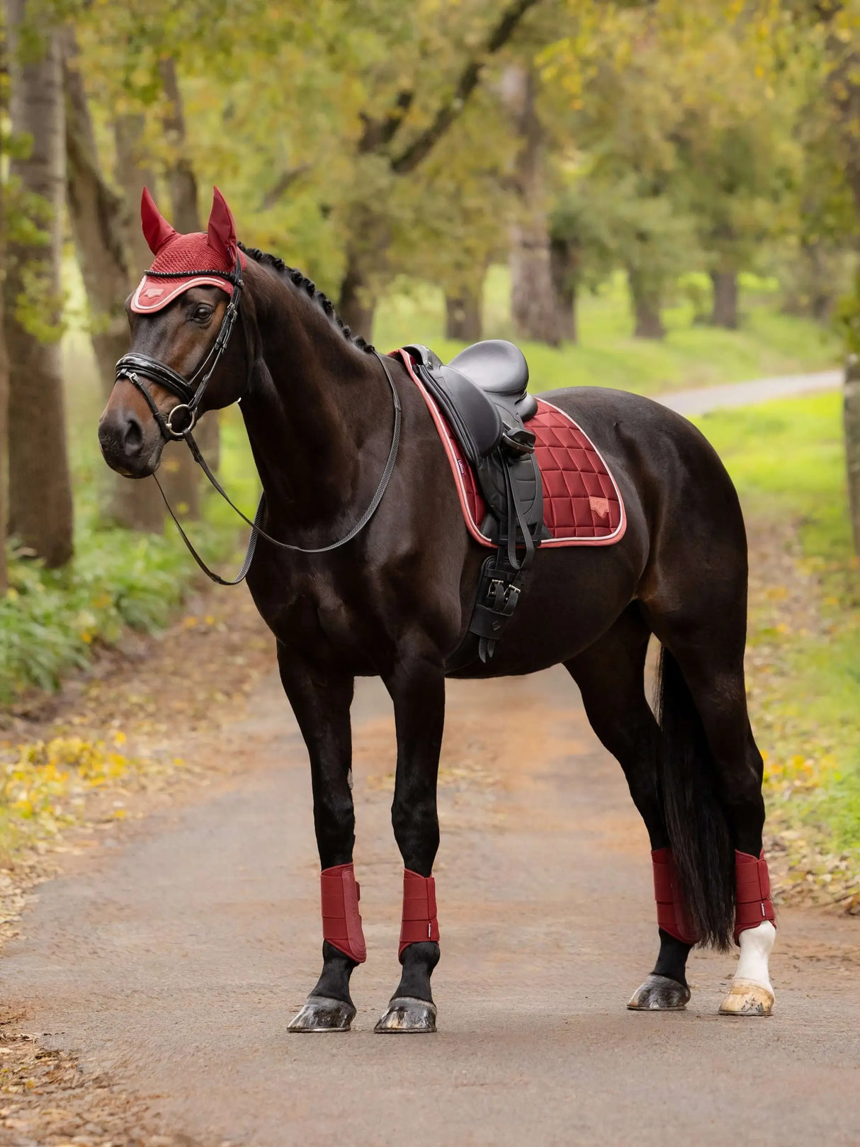 Le Mieux Loire Classic Dressage Square Russet L