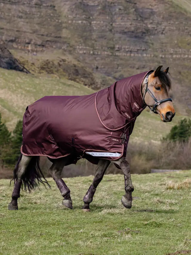 Le Mieux Arika Ripstop 200g Turnout Rug Bramble