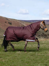 Le Mieux Arika Ripstop 100g Turnout Rug Bramble
