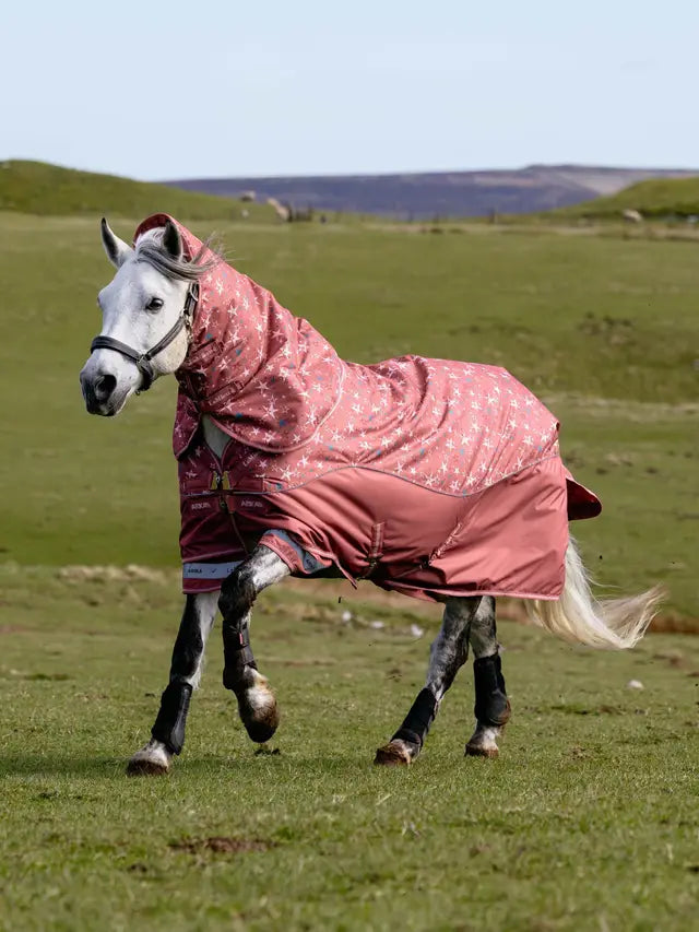 Le Mieux Arika Star 100g Turnout Rug Spiced Earth