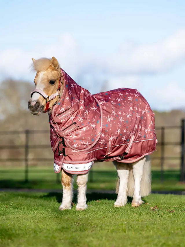 Le Mieux Arika Star 100g Turnout Rug Spiced Earth