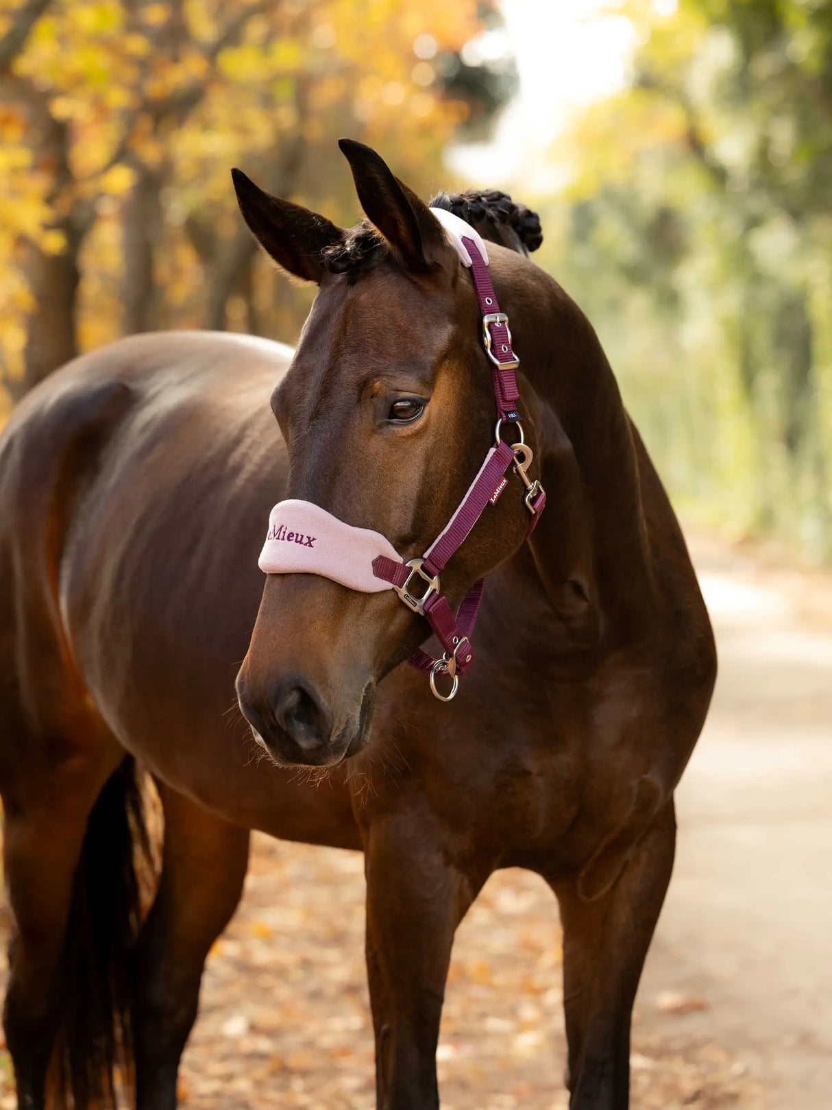 Le Mieux Vogue Fleece Headcollar & Leadrope Blackberry