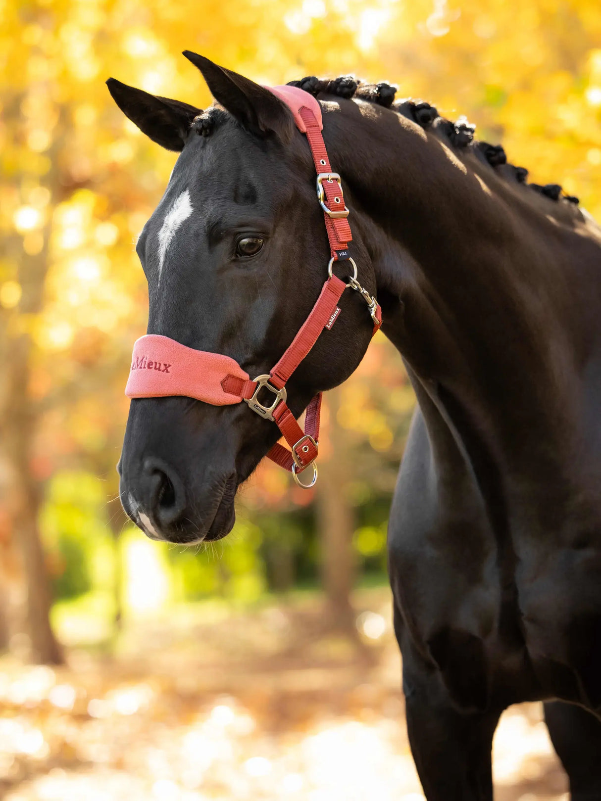 Le Mieux Vogue Fleece Headcollar & Leadrope Russet