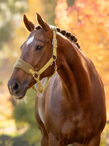 Le Mieux Vogue Fleece Headcollar & Leadrope Gooseberry