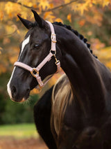 Le Mieux Essence Headcollar Wild Rose