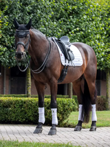 Le Mieux Loire Classic Dressage Square White L