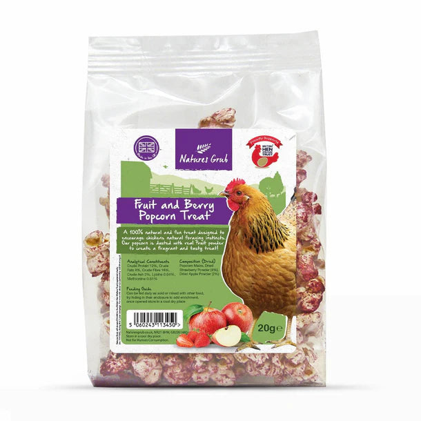 Natures Grub Fruit & Berry Popcorn Treat 20g