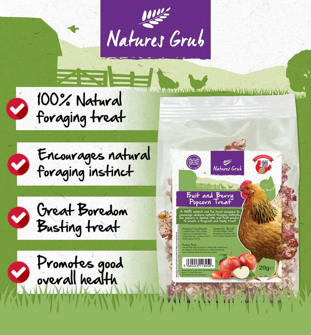 Natures Grub Fruit & Berry Popcorn Treat 20g