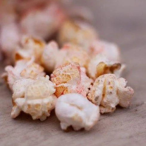 Natures Grub Fruit & Berry Popcorn Treat 20g