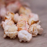 Natures Grub Fruit & Berry Popcorn Treat 20g
