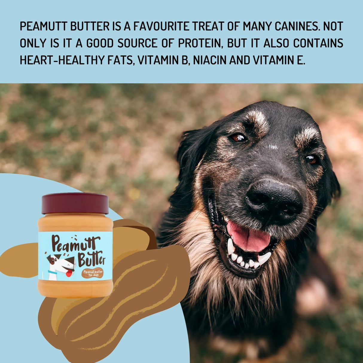 Duerrs Peamutt Butter For Dogs 340g