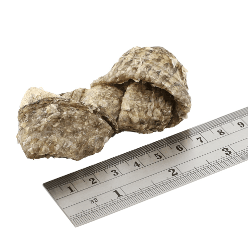 Fish 4 Dogs - Sea Jerky Dental Fish Knots 100g