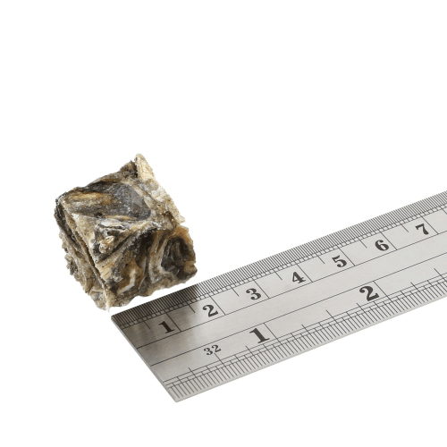 Fish 4 Dogs - Sea Jerky Dental Tiddlers 100g