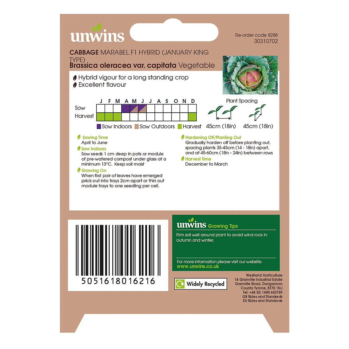 Unwins Cabbage Marabel F1 Hybrind (January King Type)