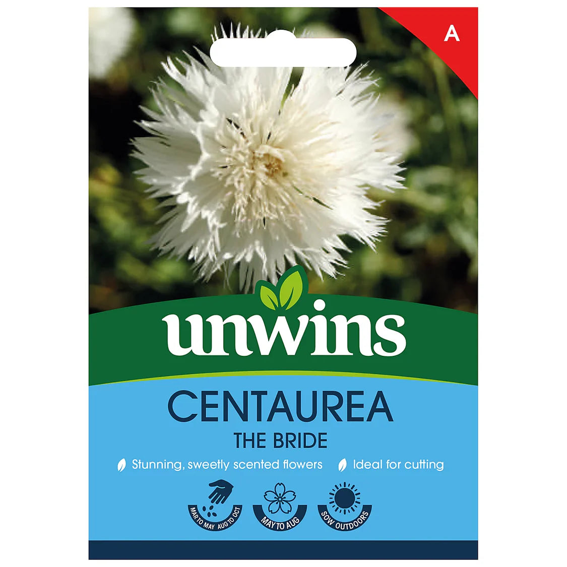 Unwins Centaurea The Bride Flower