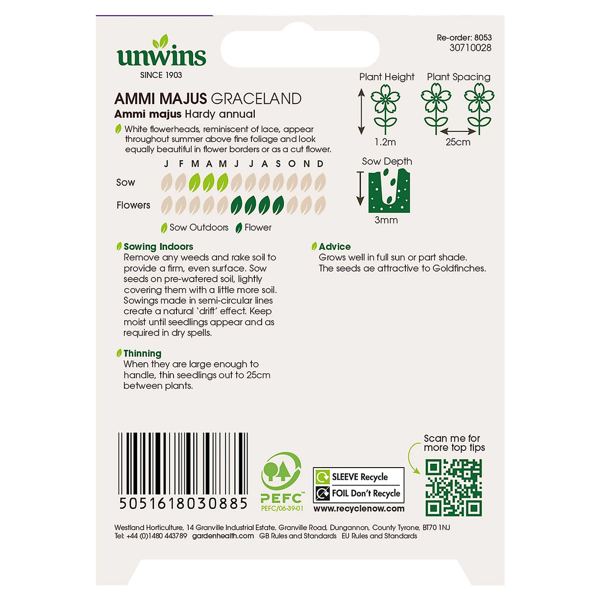 Unwins Ammi Majus Graceland