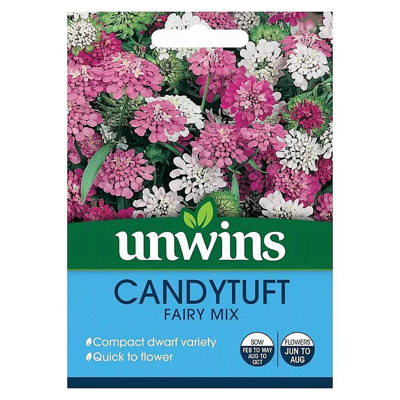 Unwins Candytuft Dwarf Fairy Mix