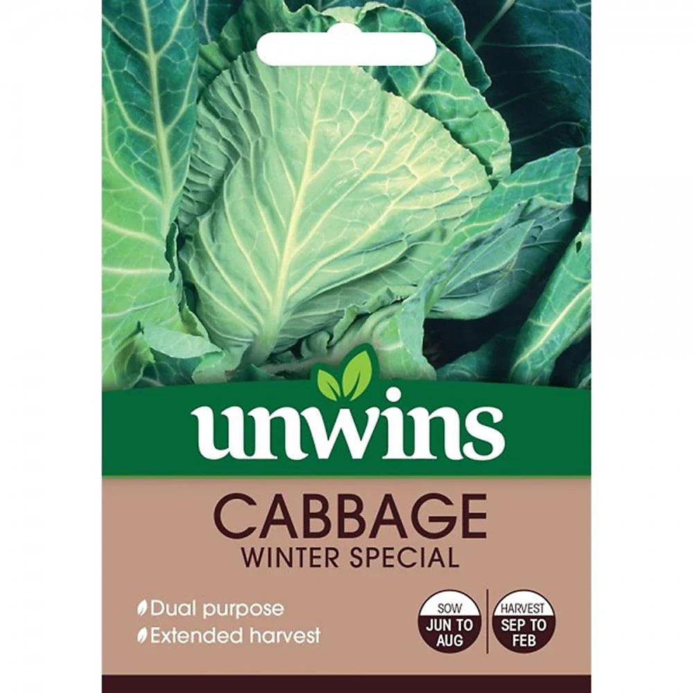 Unwins Cabbage Winter Special