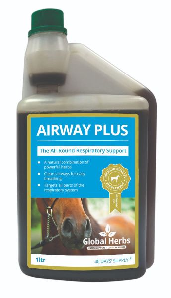 Picture of Global Herbs Airway Plus 1L