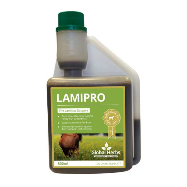 Picture of Global Herbs LamiPro 500ml
