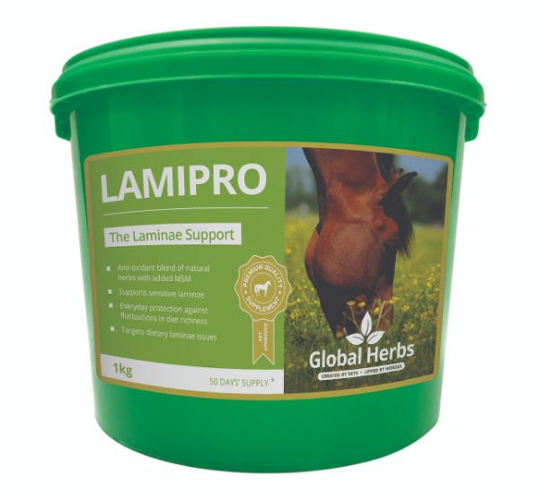 Picture of Global Herbs LamiPro Powder 1kg