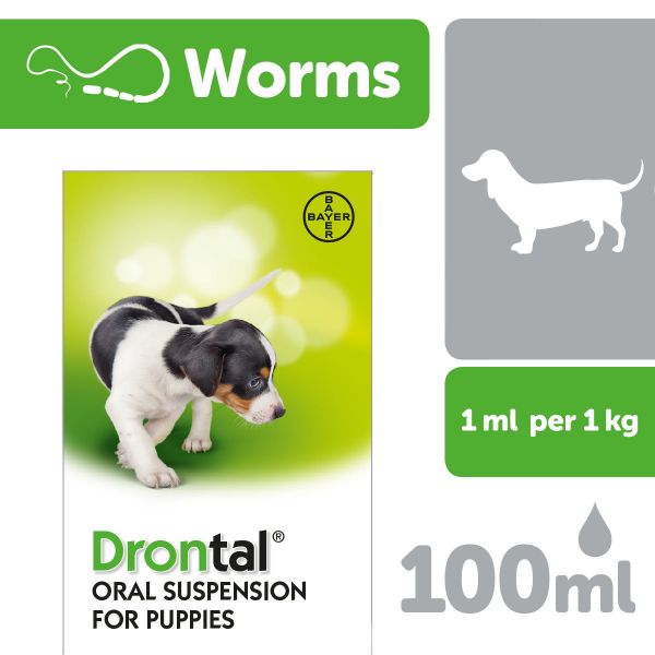 Picture of Drontal Puppy Oral Suspension 100ml