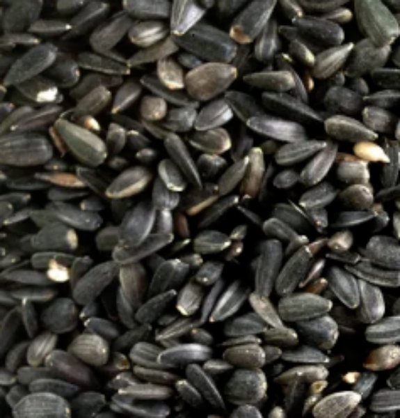 Picture of Bartholomews Black Sunflower Seed 12.75kg