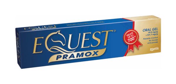 Picture of Equest Pramox Oral Gel