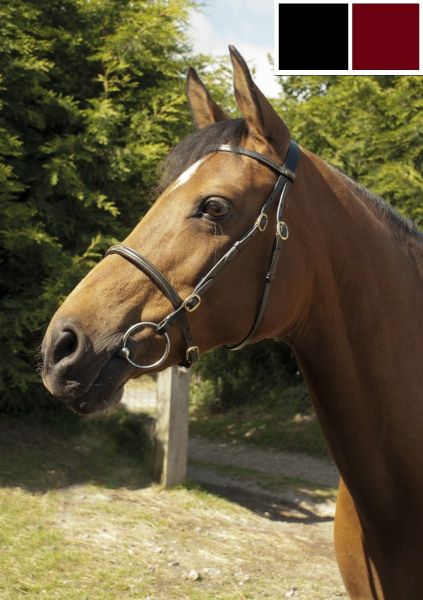 Picture of Heritage In-Hand Bridle