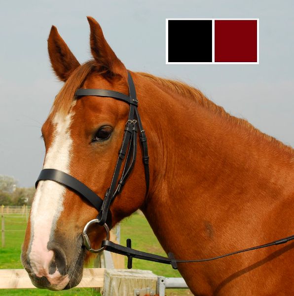 Picture of Heritage Plain Hunter Bridle
