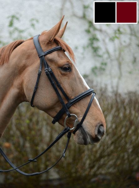 Picture of Mackey Legends Flash Bridle
