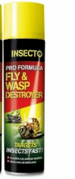Picture of Lodi Fly & Wasp Destroyer 300ml