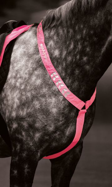 Picture of Shires Equi-Flector Breastplate Pink