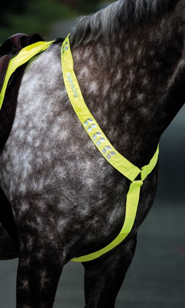 Picture of Shires Equi-Flector Breastplate Yellow