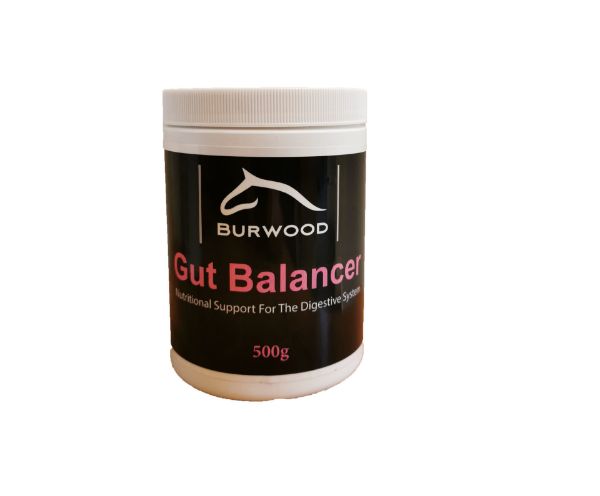 Picture of Burwood Gut Balancer 500g
