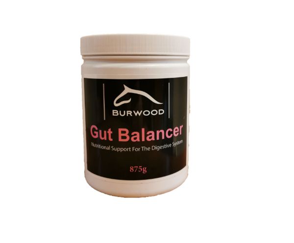 Picture of Burwood Gut Balancer 875g