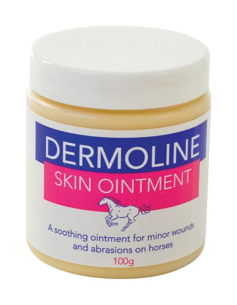 Picture of Dermoline Skin Ointment 100g