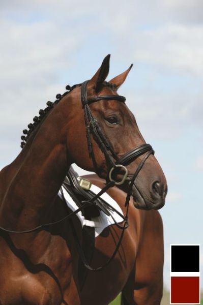 Picture of Collegiate Syntovia+ Padded Raised Flash Bridle