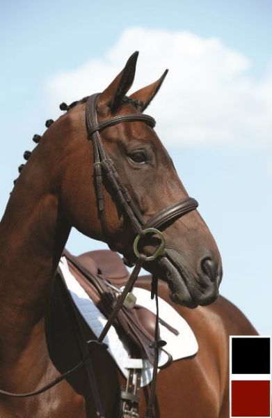 Picture of Collegiate Syntovia+ Padded Raised Cavesson Bridle
