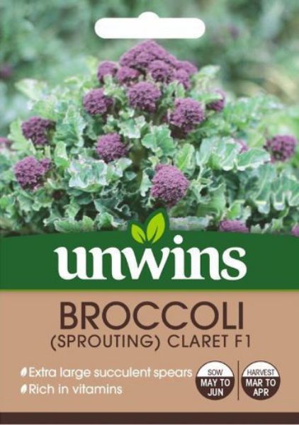 Picture of Unwins Broccoli Early Purple Sprouting Seeds