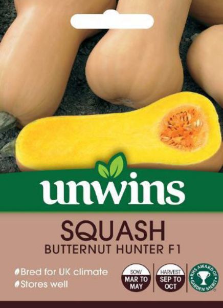 Picture of Unwins Squash (Butternut) Hunter F1 Seeds
